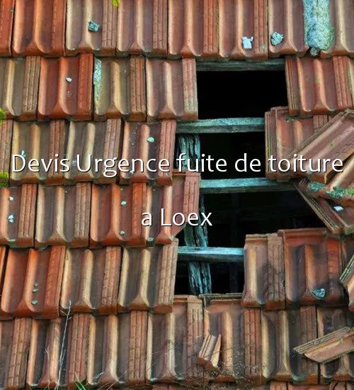 Devis Urgence fuite de toiture a Loex