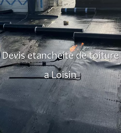 Devis etancheite de toiture a Loisin