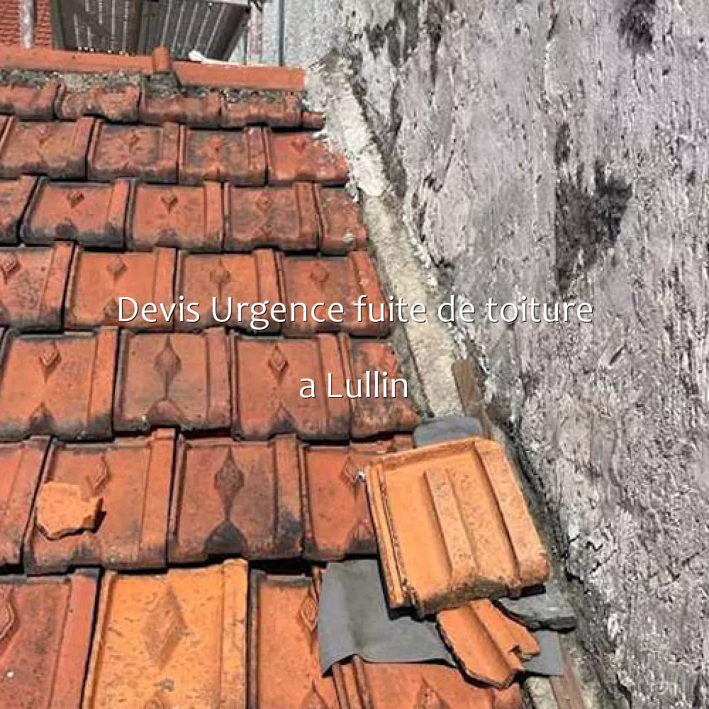 Devis Urgence fuite de toiture a Lullin