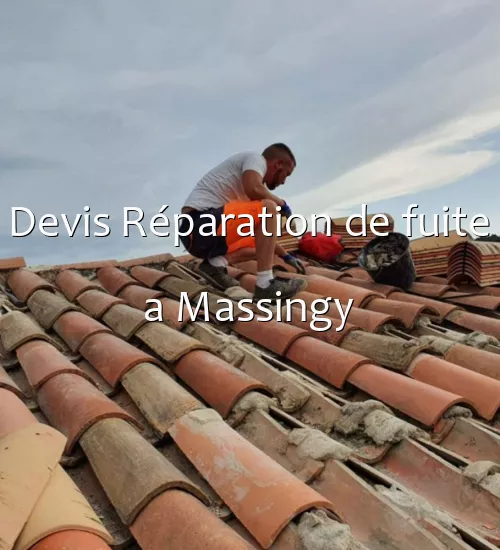 Devis Réparation de fuite a Massingy