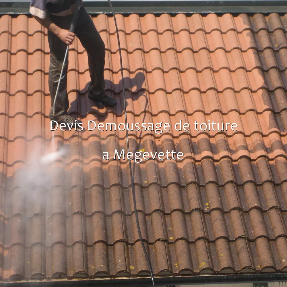 Devis Demoussage de toiture a Megevette