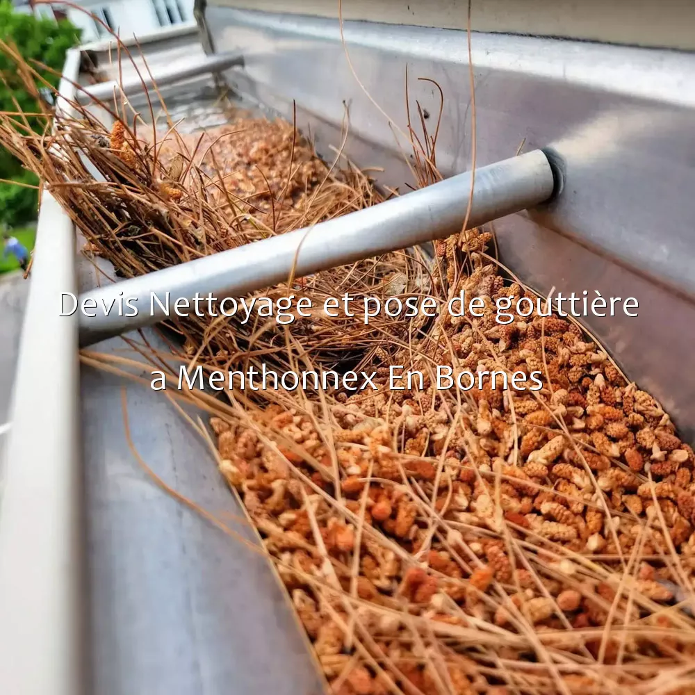 Devis Nettoyage et pose de gouttière a Menthonnex En Bornes