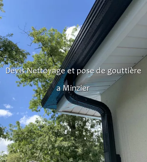 Devis Nettoyage et pose de gouttière a Minzier