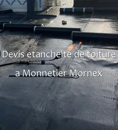 Devis etancheite de toiture a Monnetier Mornex