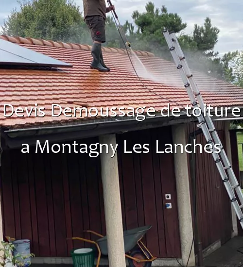 Devis Demoussage de toiture a Montagny Les Lanches