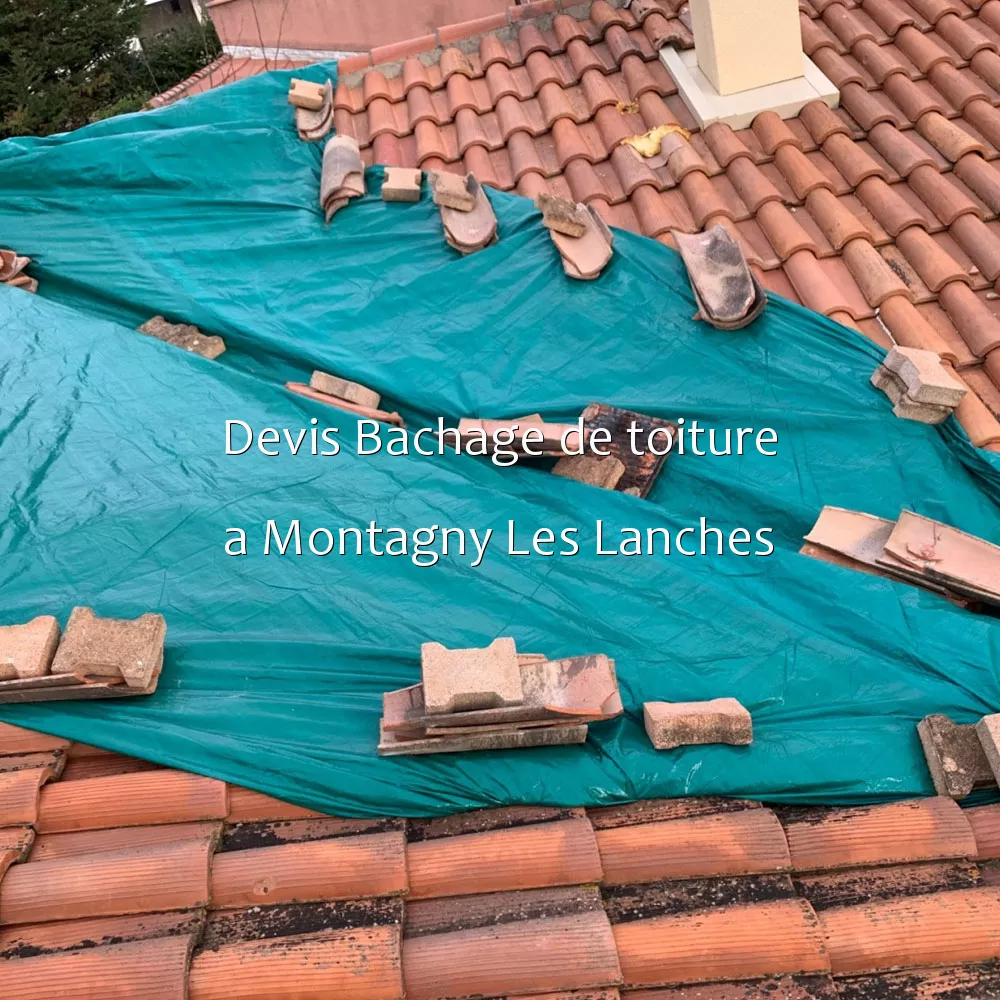 Devis Bachage de toiture a Montagny Les Lanches