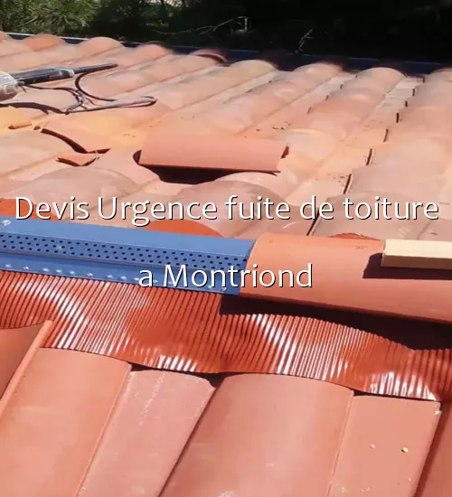 Devis Urgence fuite de toiture a Montriond