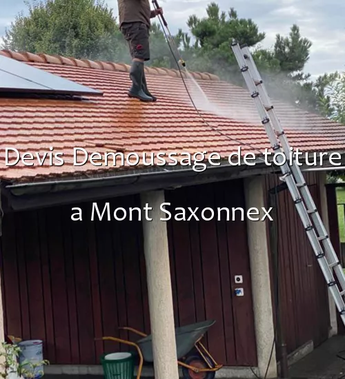 Devis Demoussage de toiture a Mont Saxonnex
