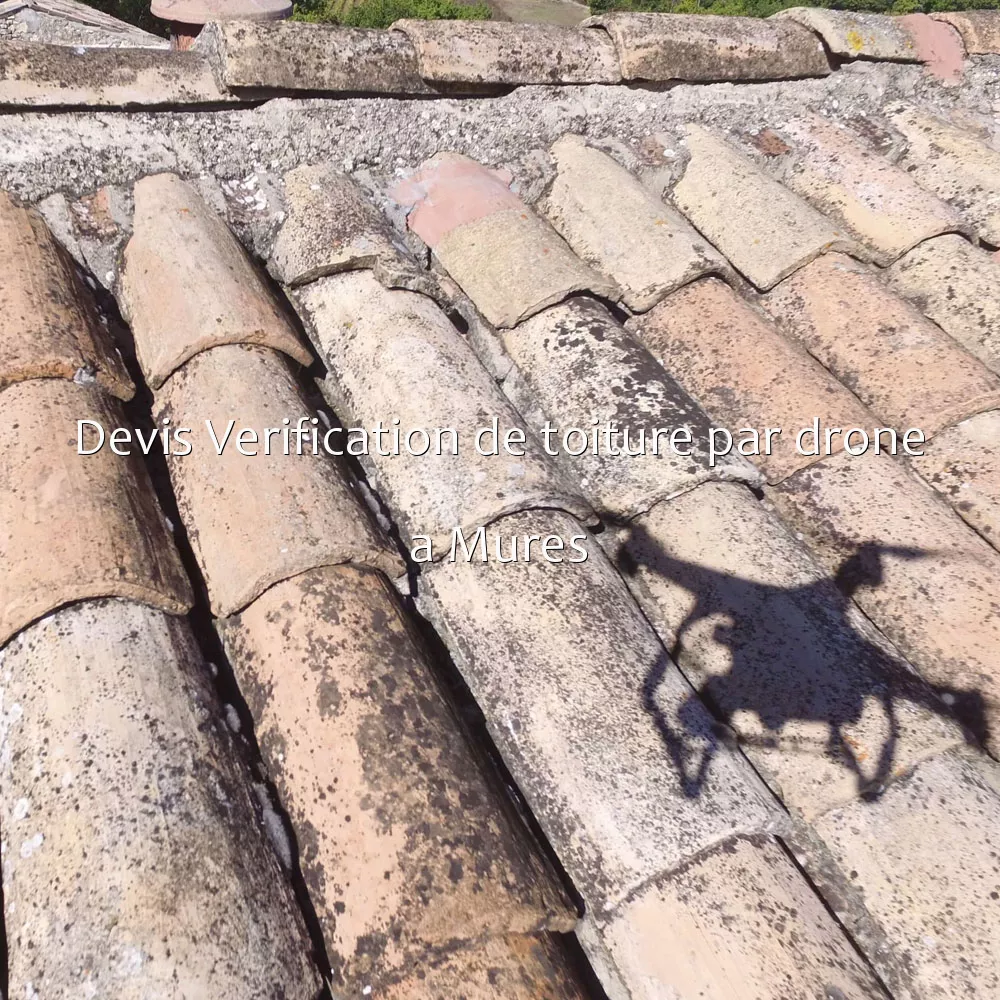 Devis Verification de toiture par drone a Mures