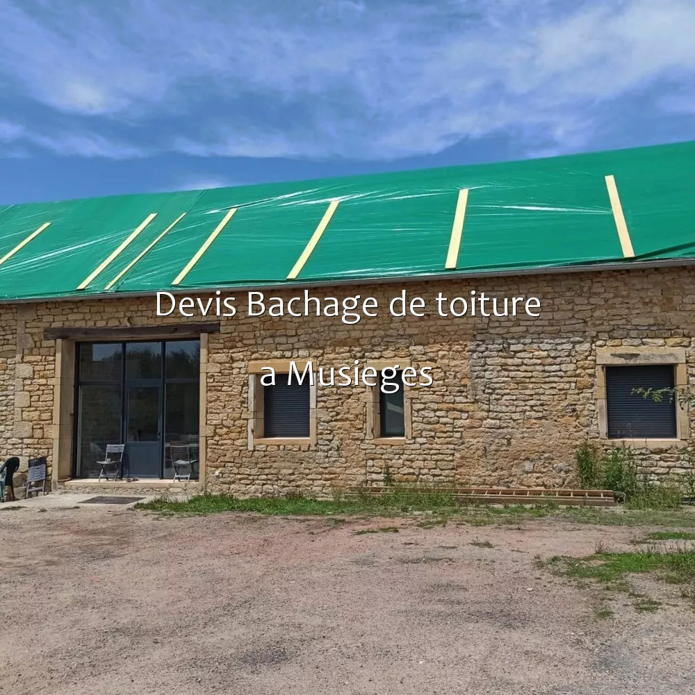 Devis Bachage de toiture a Musieges