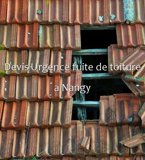 Devis Urgence fuite de toiture a Nangy
