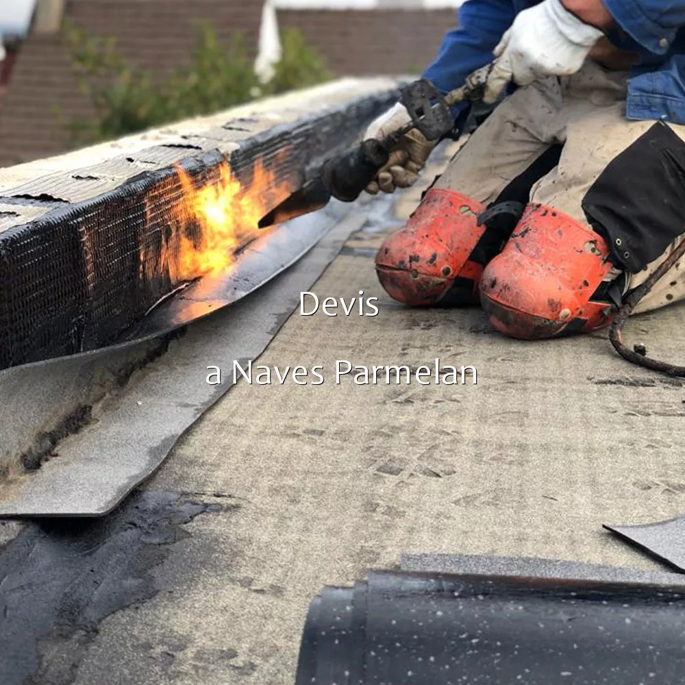 Devis  a Naves Parmelan