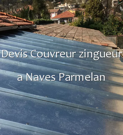 Devis Couvreur zingueur a Naves Parmelan