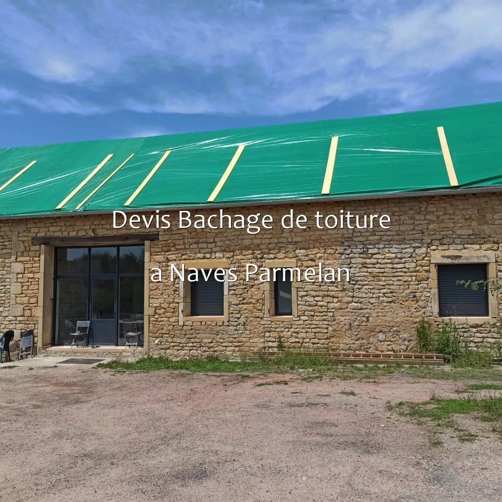 Devis Bachage de toiture a Naves Parmelan