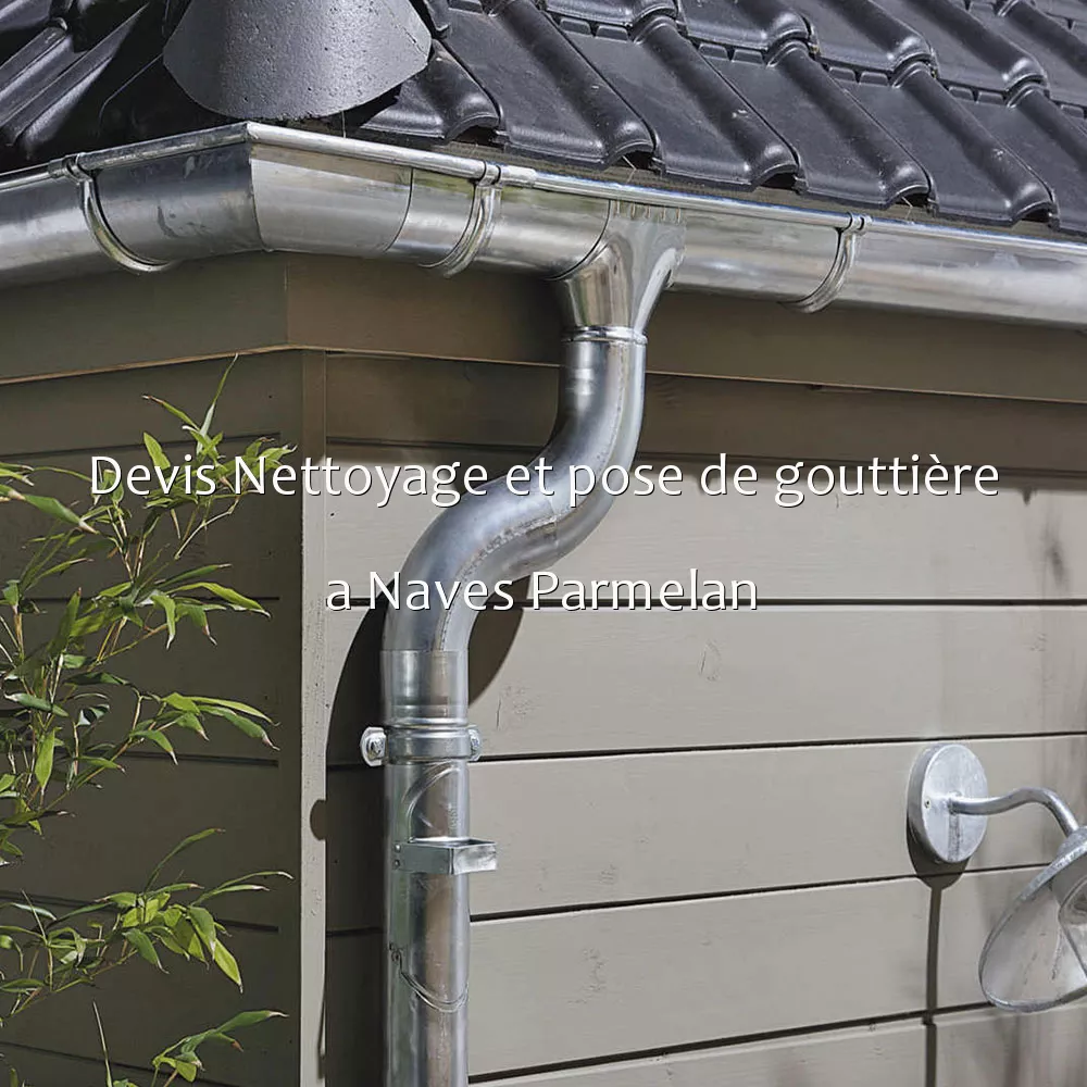 Devis Nettoyage et pose de gouttière a Naves Parmelan