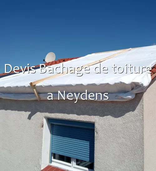 Devis Bachage de toiture a Neydens