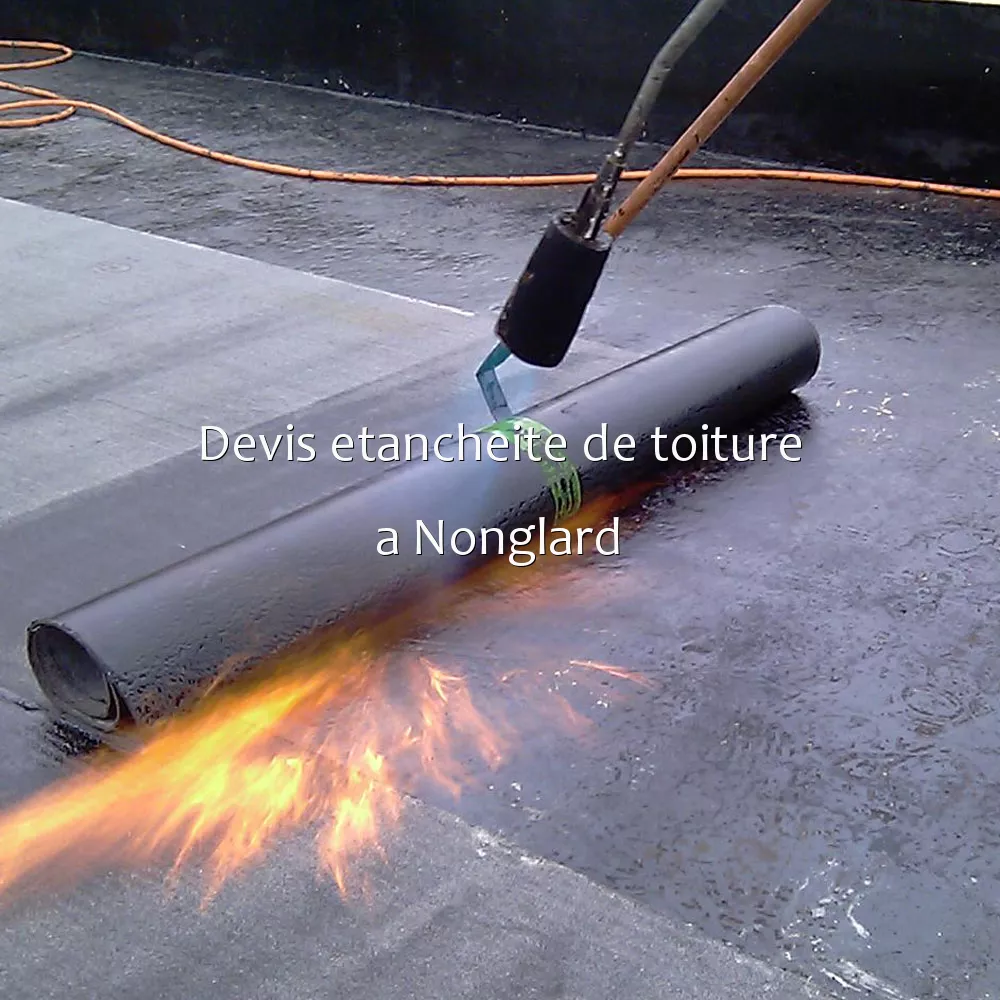 Devis etancheite de toiture a Nonglard