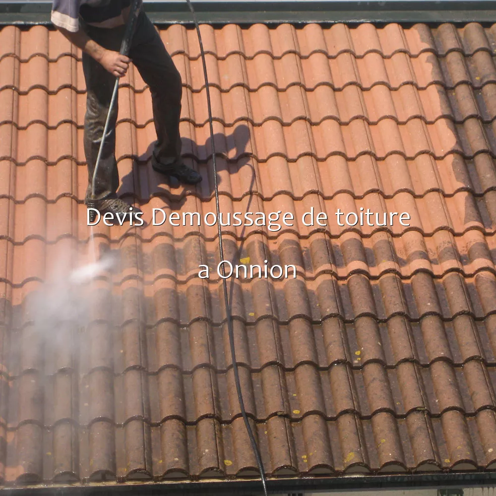 Devis Demoussage de toiture a Onnion