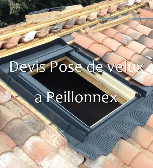 Devis Pose de velux a Peillonnex