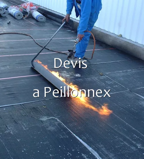 Devis  a Peillonnex