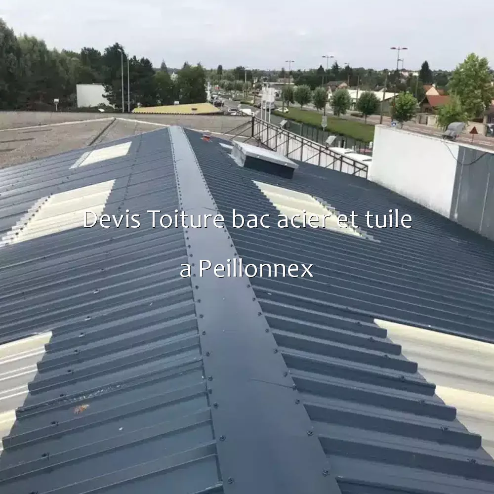 Devis Toiture bac acier et tuile a Peillonnex