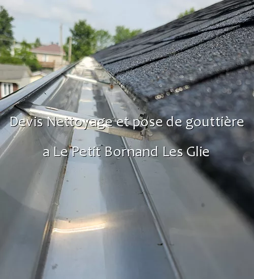 Devis Nettoyage et pose de gouttière a Le Petit Bornand Les Glie