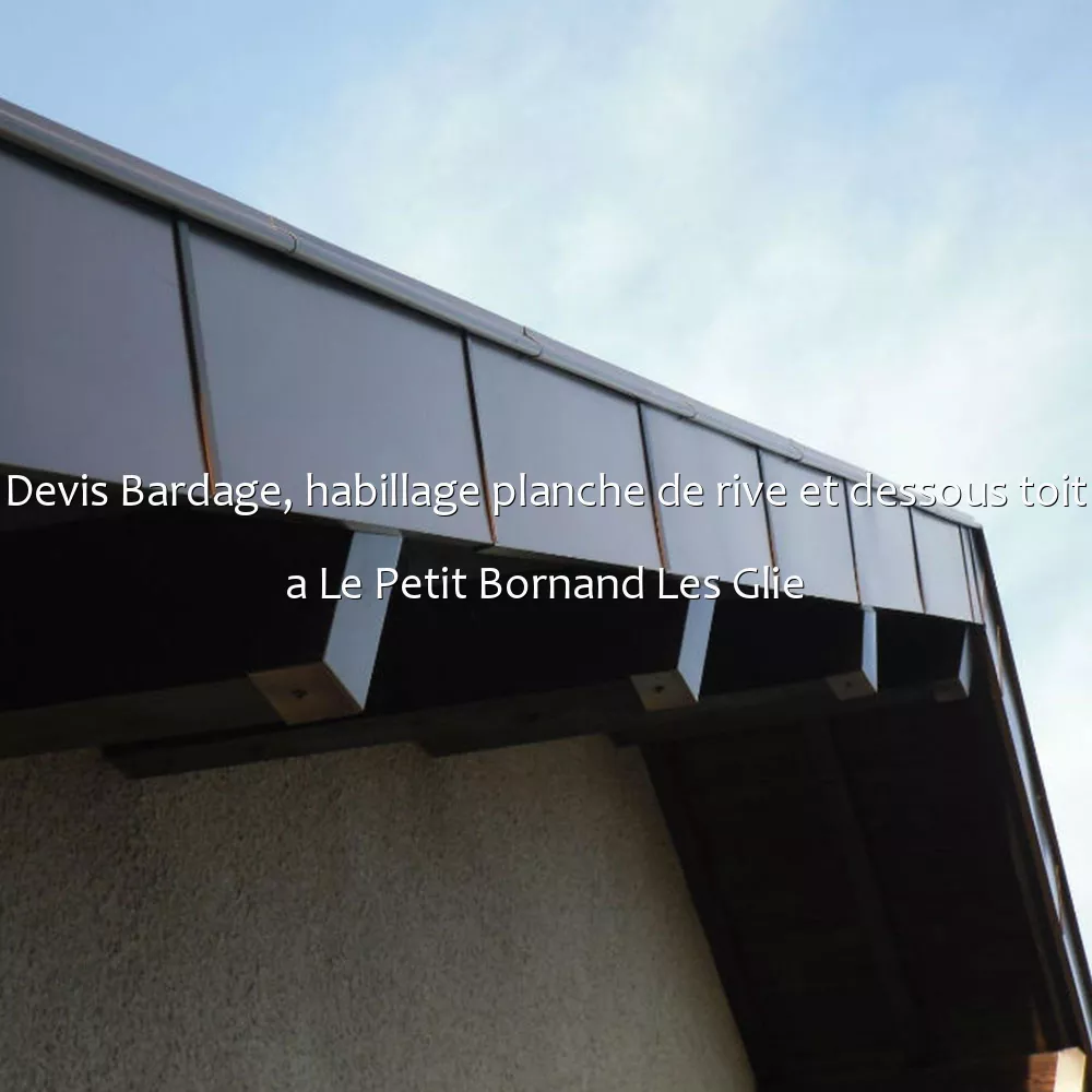 Devis Bardage, habillage planche de rive et dessous toit a Le Petit Bornand Les Glie