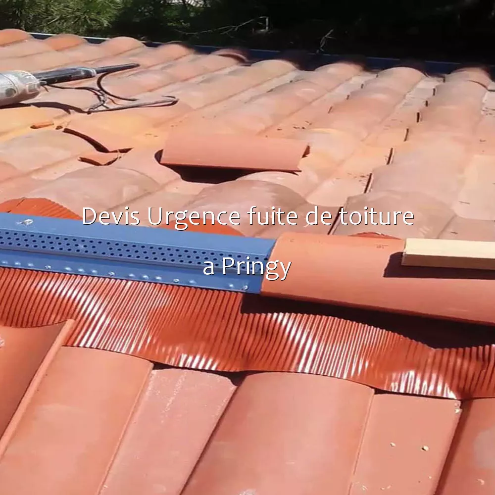 Devis Urgence fuite de toiture a Pringy