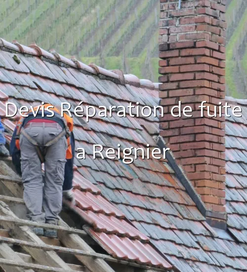 Devis Réparation de fuite a Reignier