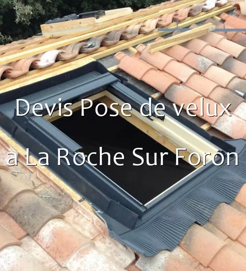 Devis Pose de velux a La Roche Sur Foron