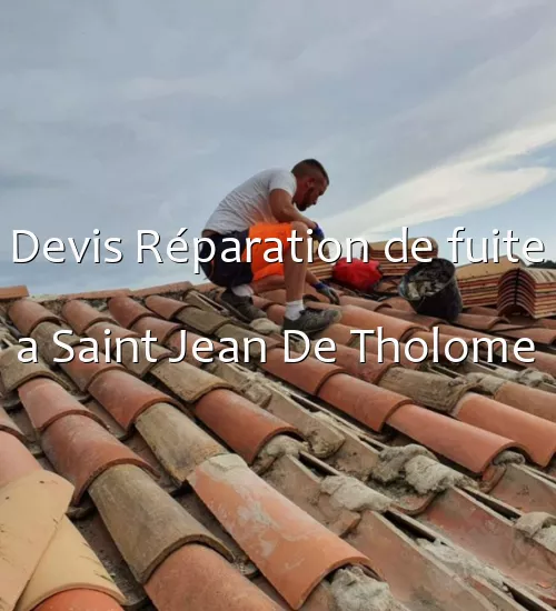 Devis Réparation de fuite a Saint Jean De Tholome