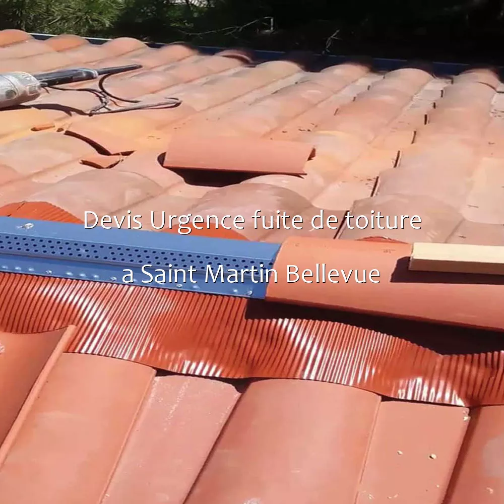Devis Urgence fuite de toiture a Saint Martin Bellevue