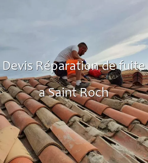 Devis Réparation de fuite a Saint Roch