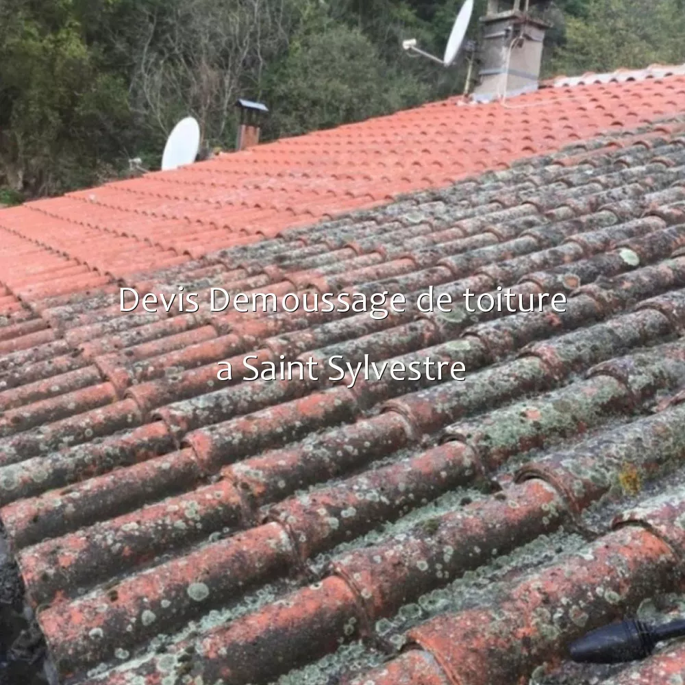 Devis Demoussage de toiture a Saint Sylvestre
