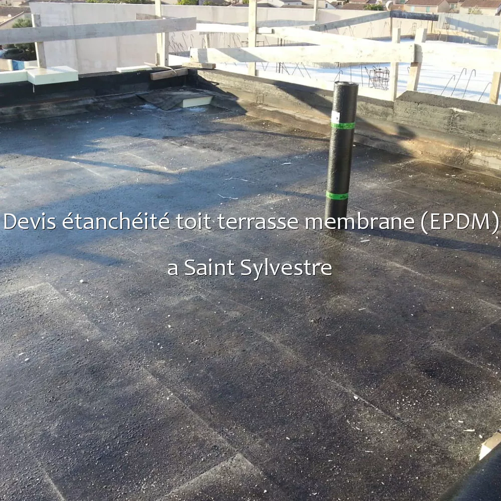Devis étanchéité toit terrasse membrane (EPDM) a Saint Sylvestre