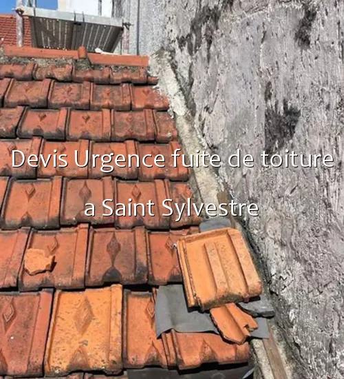 Devis Urgence fuite de toiture a Saint Sylvestre