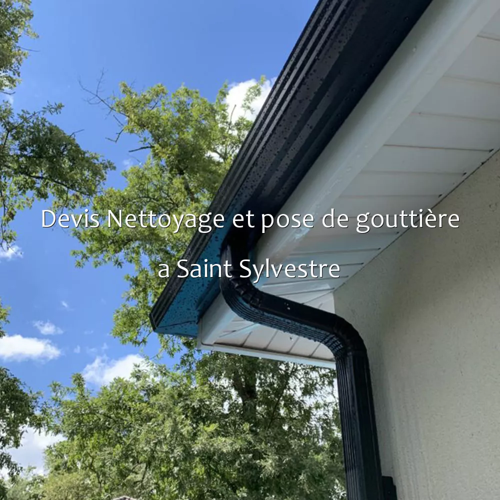 Devis Nettoyage et pose de gouttière a Saint Sylvestre