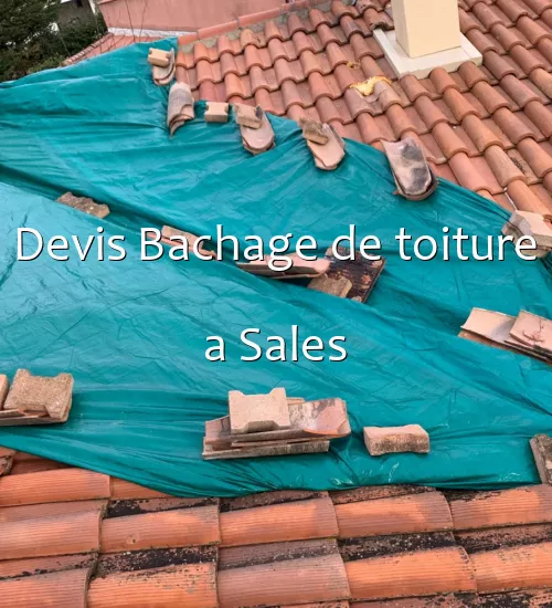 Devis Bachage de toiture a Sales