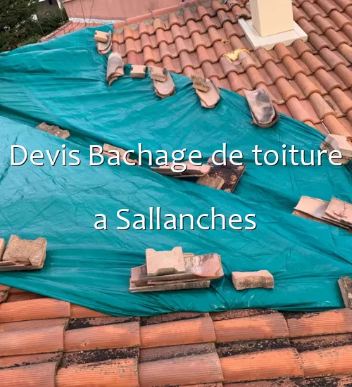 Devis Bachage de toiture a Sallanches