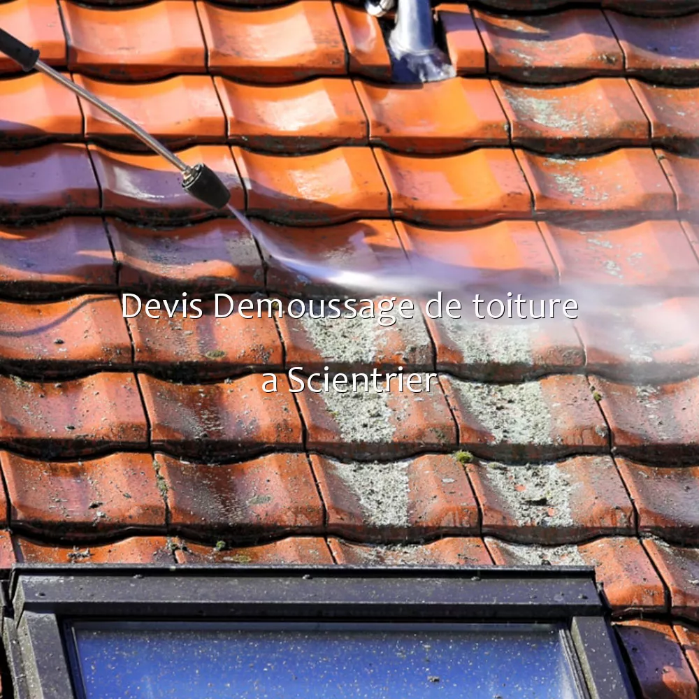 Devis Demoussage de toiture a Scientrier
