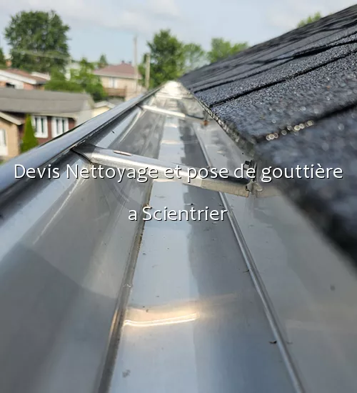 Devis Nettoyage et pose de gouttière a Scientrier