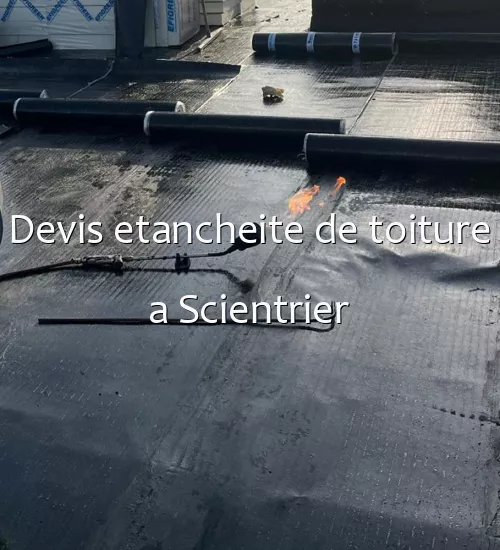 Devis etancheite de toiture a Scientrier