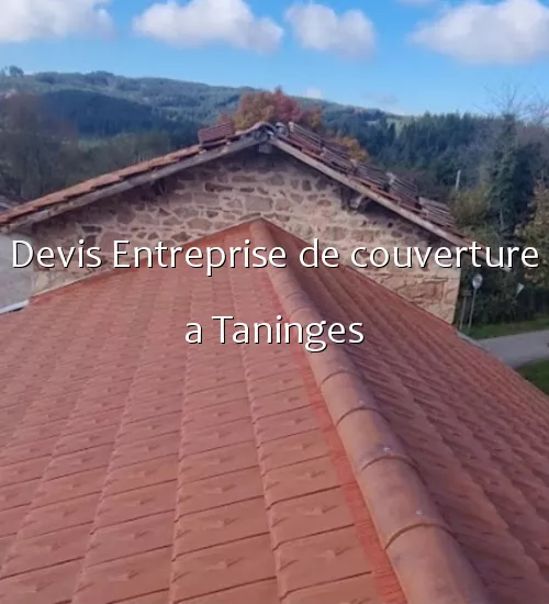 Devis Entreprise de couverture a Taninges