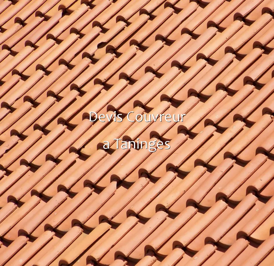 Devis Couvreur a Taninges