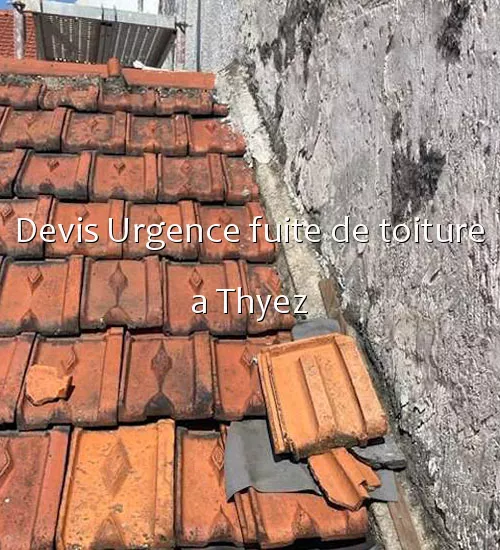 Devis Urgence fuite de toiture a Thyez