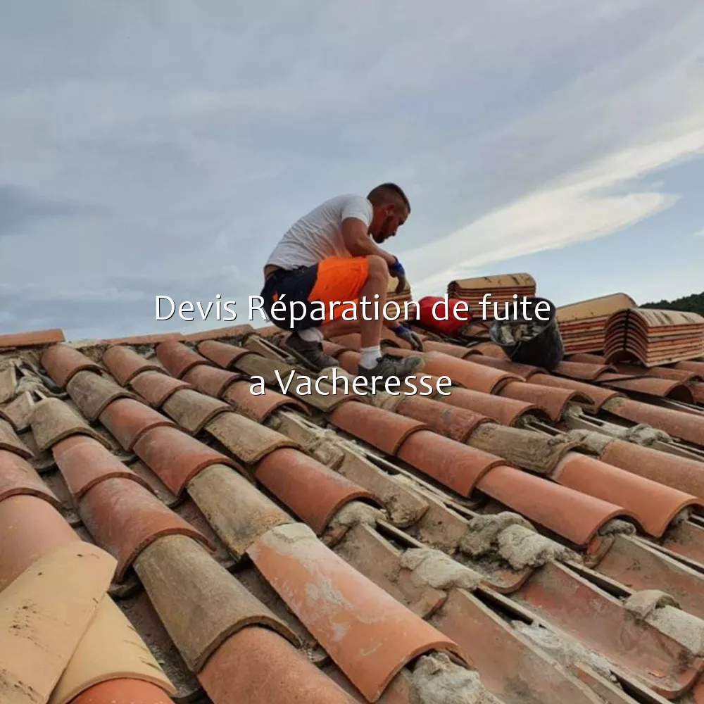 Devis Réparation de fuite a Vacheresse