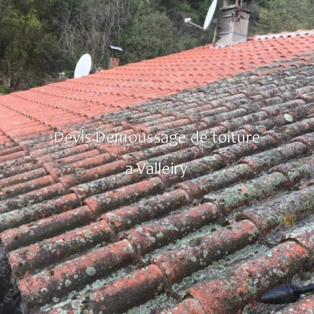 Devis Demoussage de toiture a Valleiry