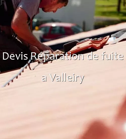 Devis Réparation de fuite a Valleiry