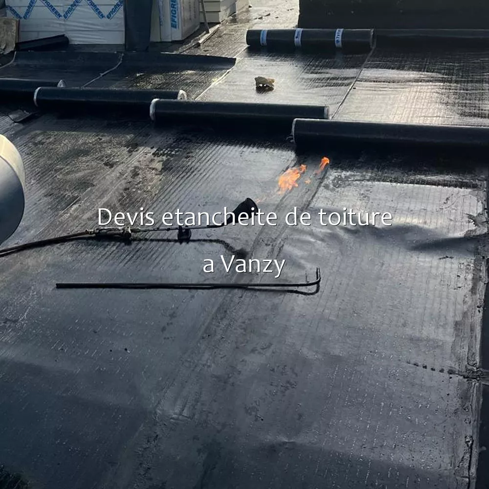 Devis etancheite de toiture a Vanzy