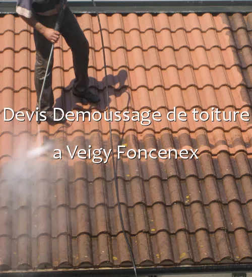 Devis Demoussage de toiture a Veigy Foncenex